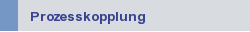 Prozesskopplung